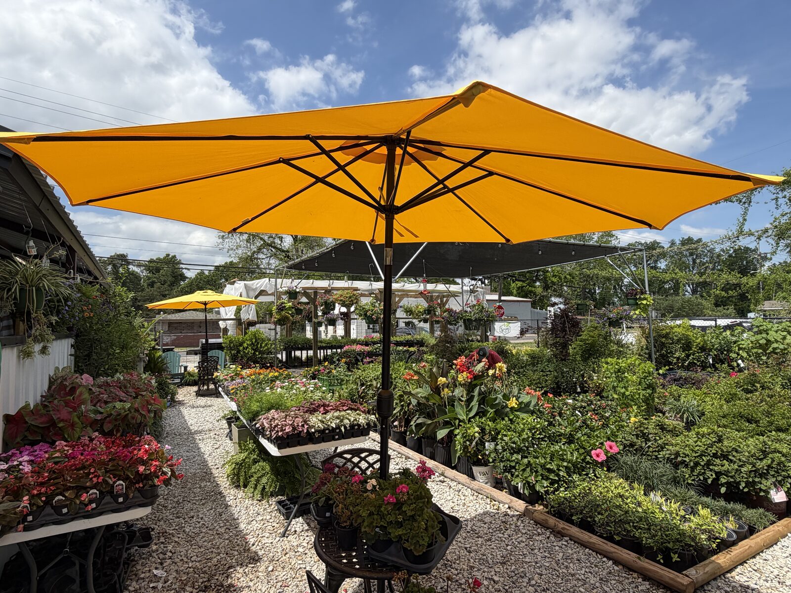 Nursery & Garden